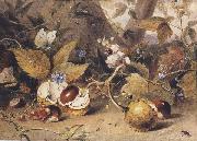Elizabeth Byrne Still-life with horse chestnuts and insects (mk47) oil painting reproduction